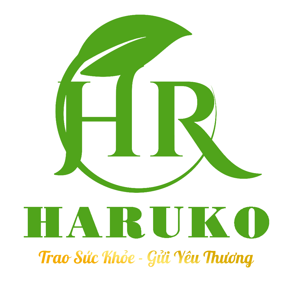 Tâm Nhìn Và Sứ Mệnh - Logo Haruko